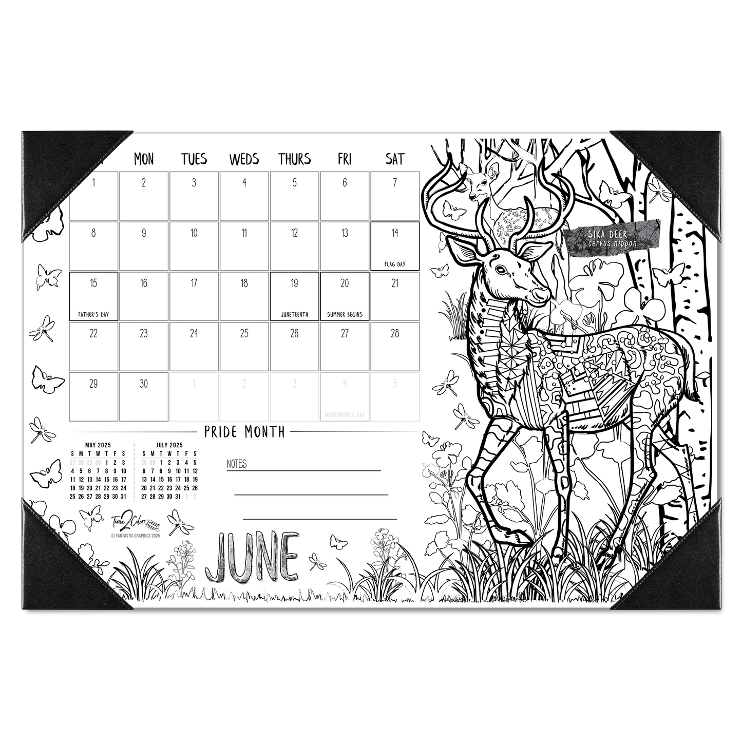 2025 Nature Home Edition Desk Blotter Coloring Calendar (19" x 13")