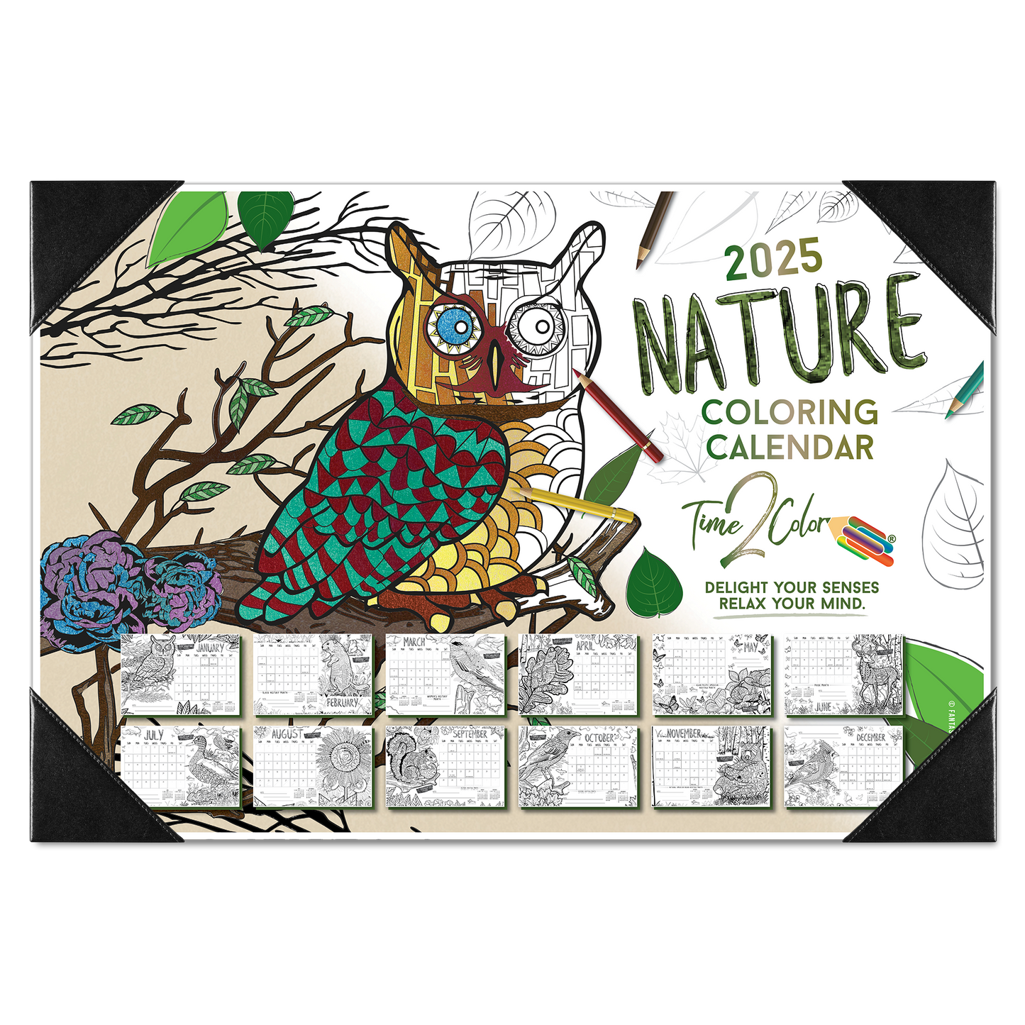 2025 Nature Home Edition Desk Blotter Coloring Calendar (19" x 13")